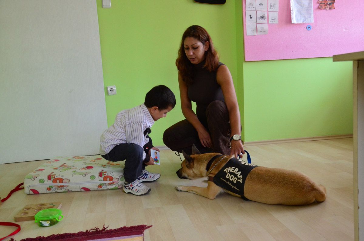 Uludağ Ün. Veteriner Fak. Hayvan Destekli Terapi - 13