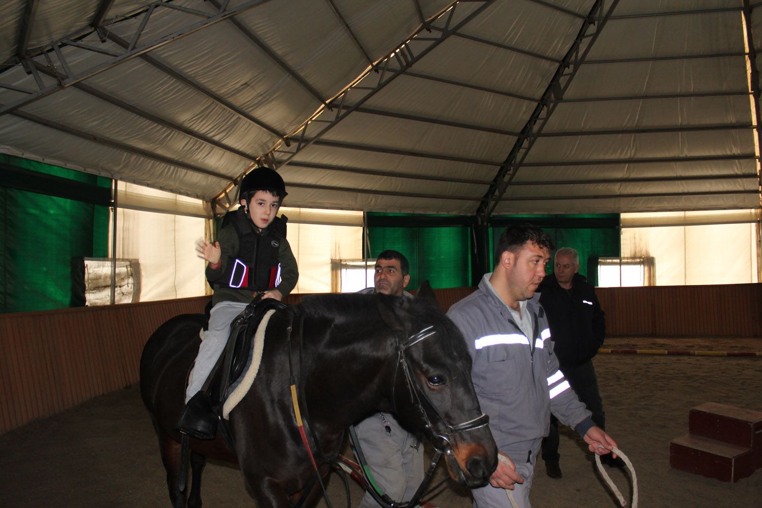 At Biniş Eğitimleri (2016) - 18