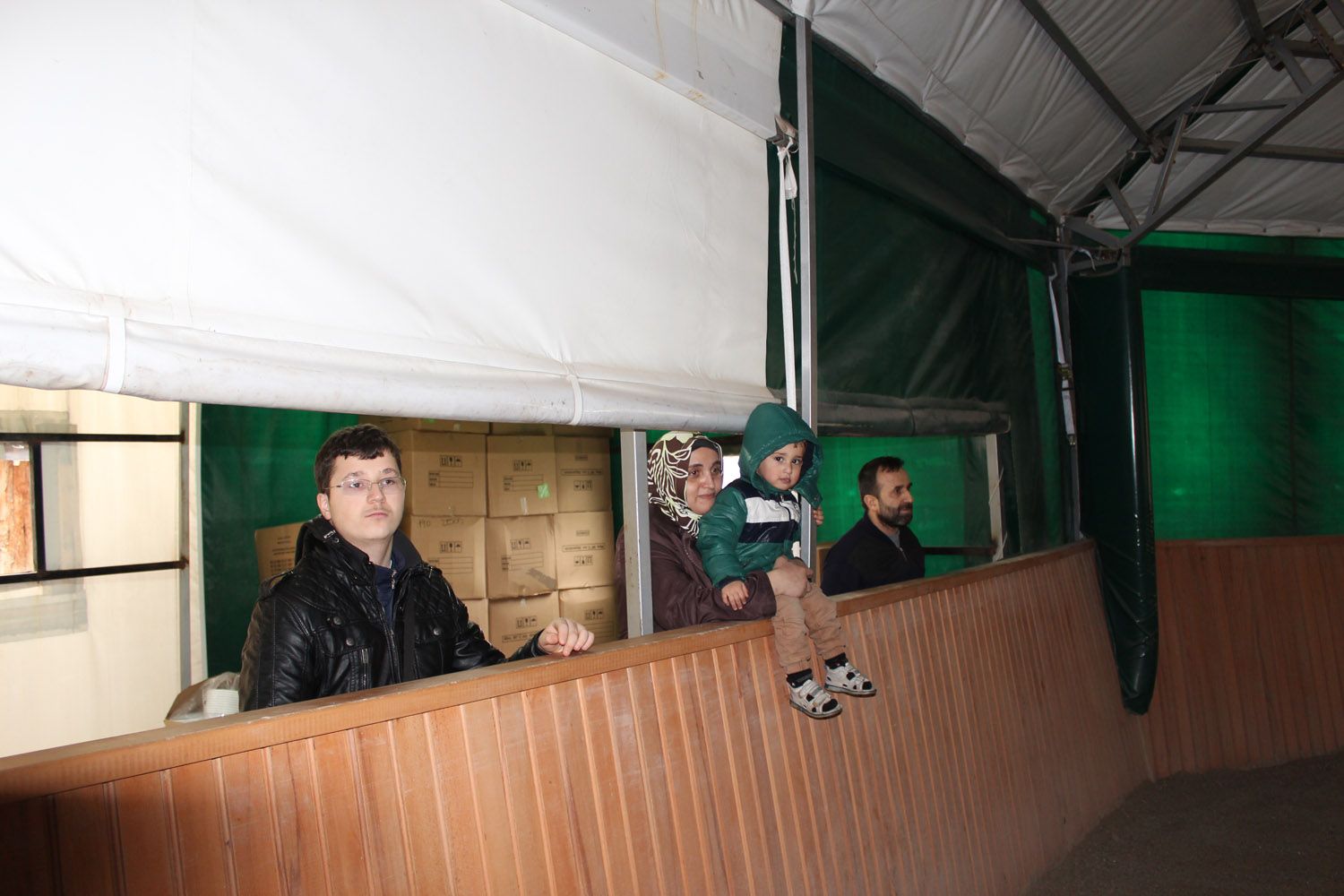 At Biniş Eğitimleri (2016) - 19