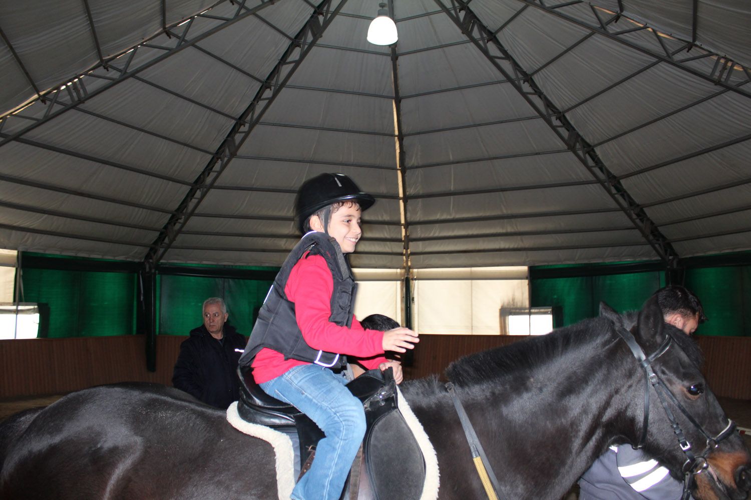 At Biniş Eğitimleri (2016) - 26