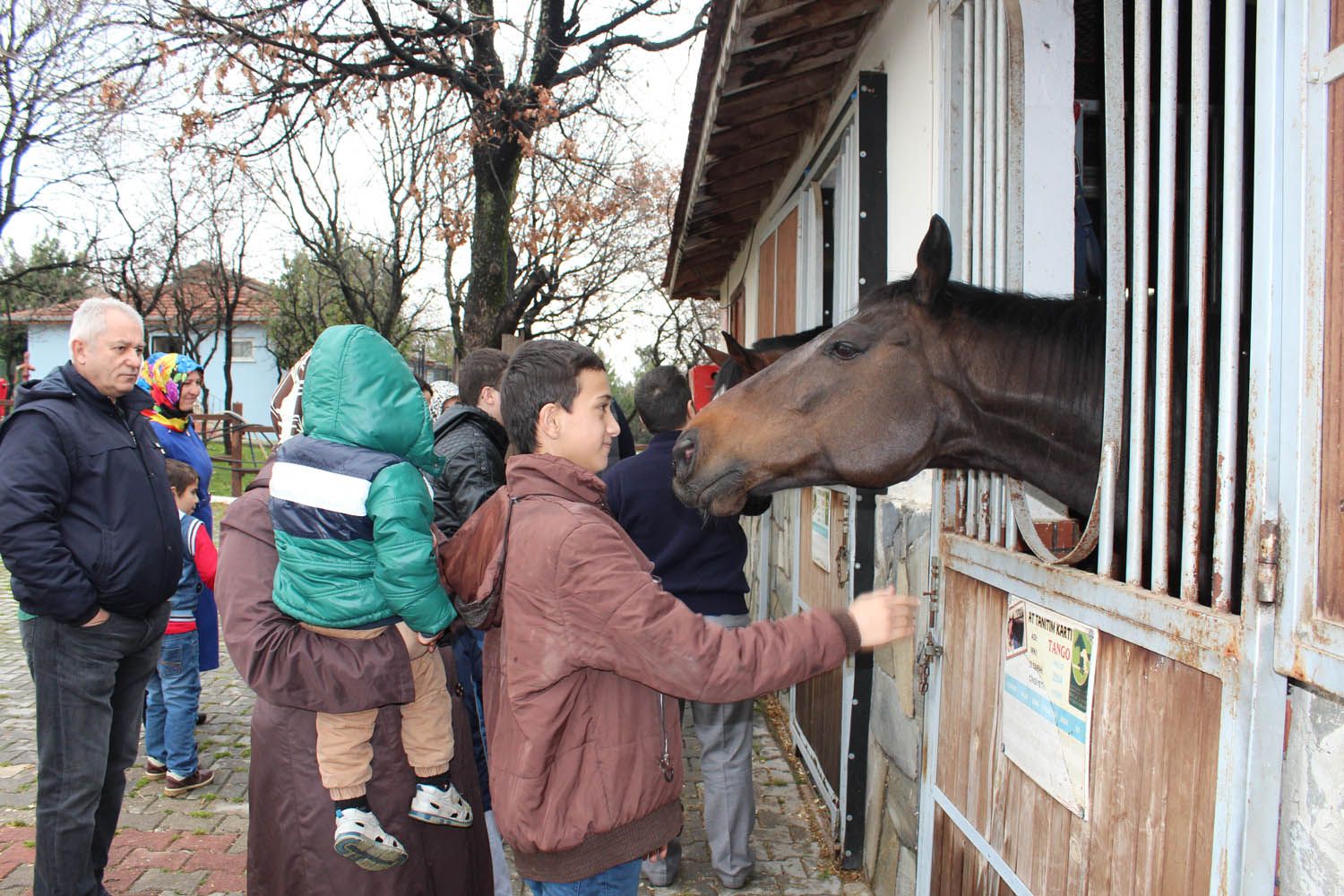 At Biniş Eğitimleri (2016) - 39