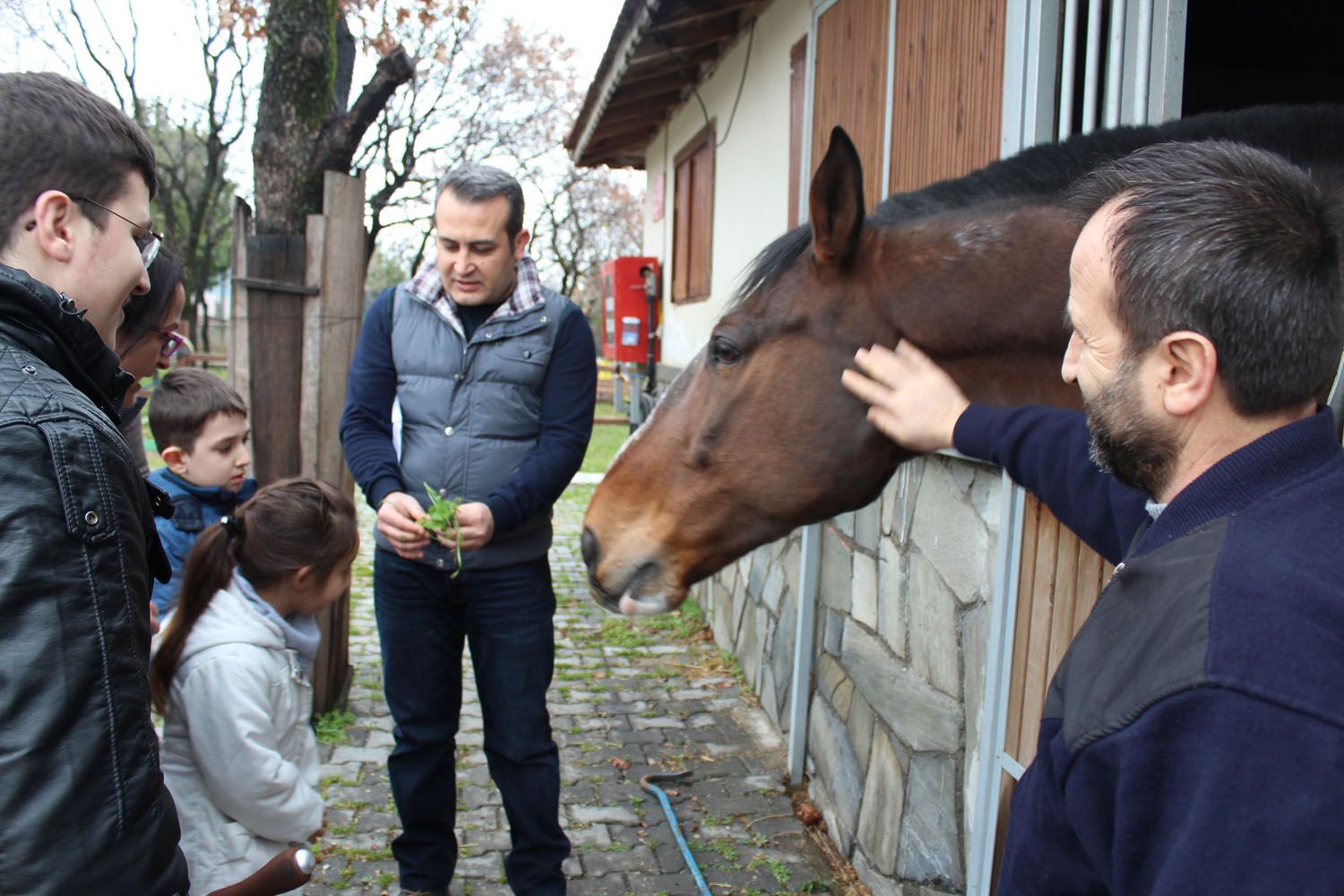 At Biniş Eğitimleri (2016) - 40
