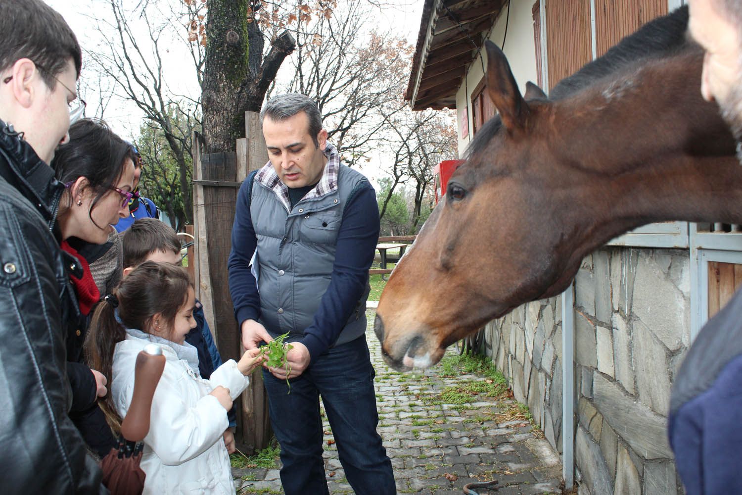At Biniş Eğitimleri (2016) - 41