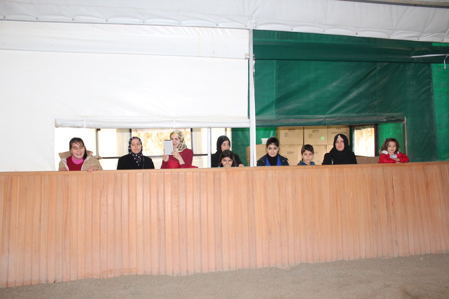 At Biniş Eğitimleri (2016) - 44