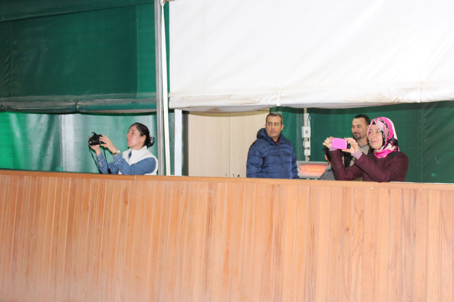 At Biniş Eğitimleri (2016) - 45