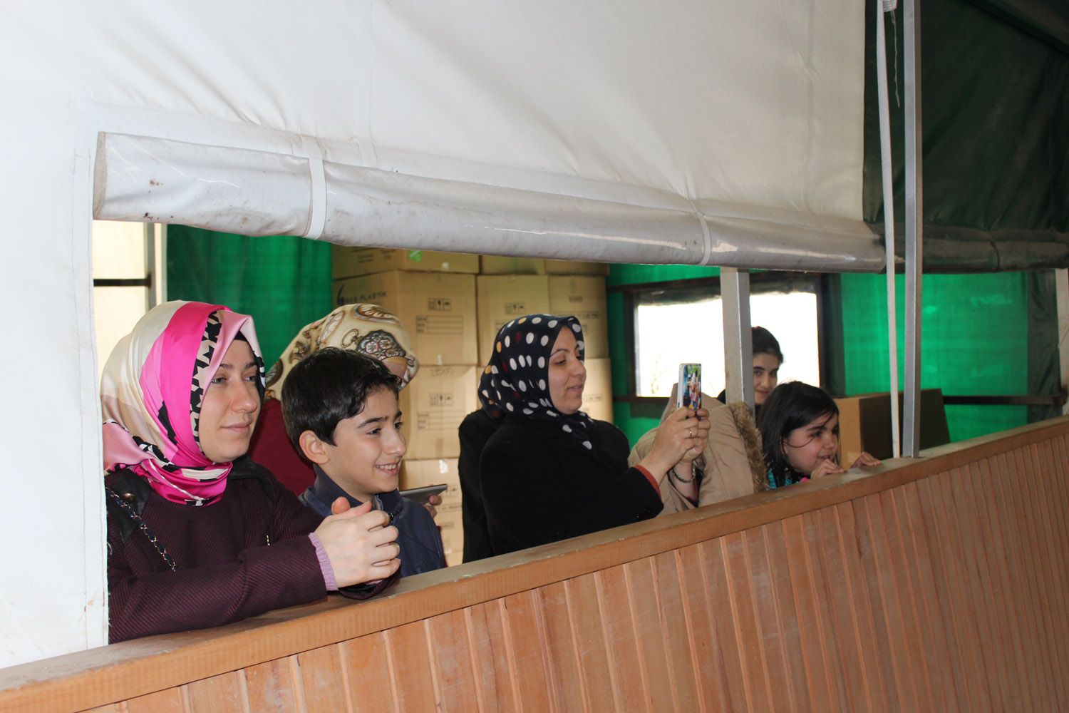 At Biniş Eğitimleri (2016) - 58