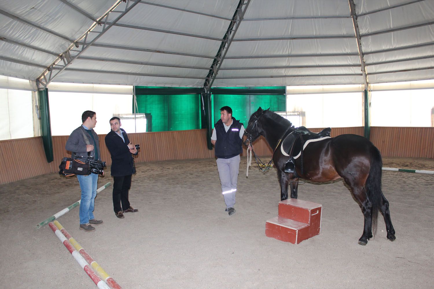 At Biniş Eğitimleri (2016) - 81