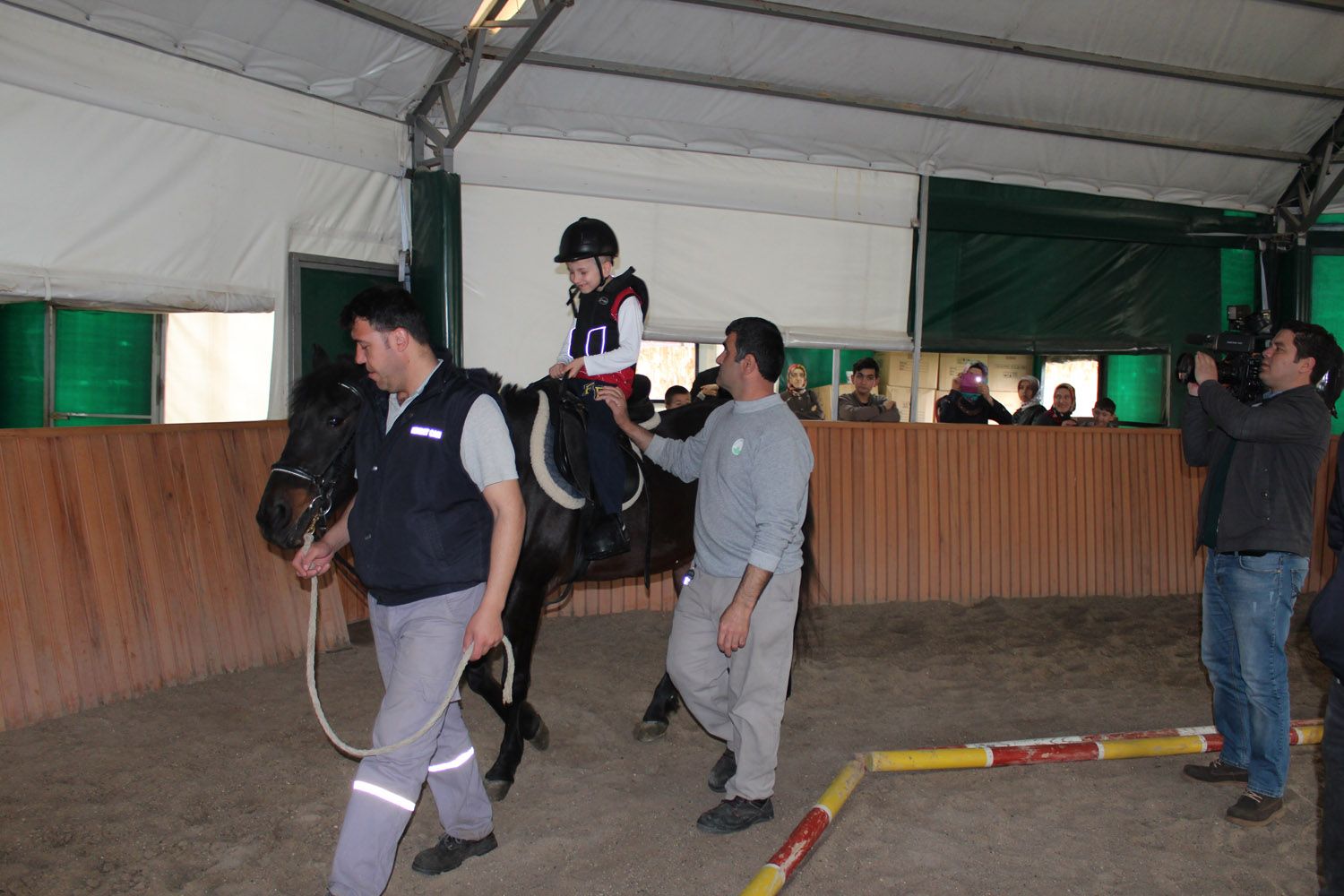 At Biniş Eğitimleri (2016) - 83