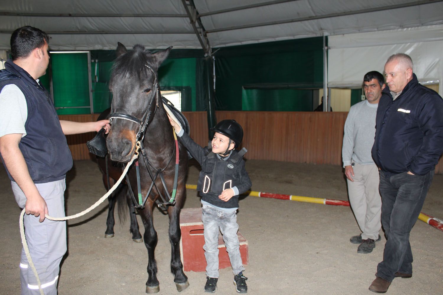 At Biniş Eğitimleri (2016) - 88