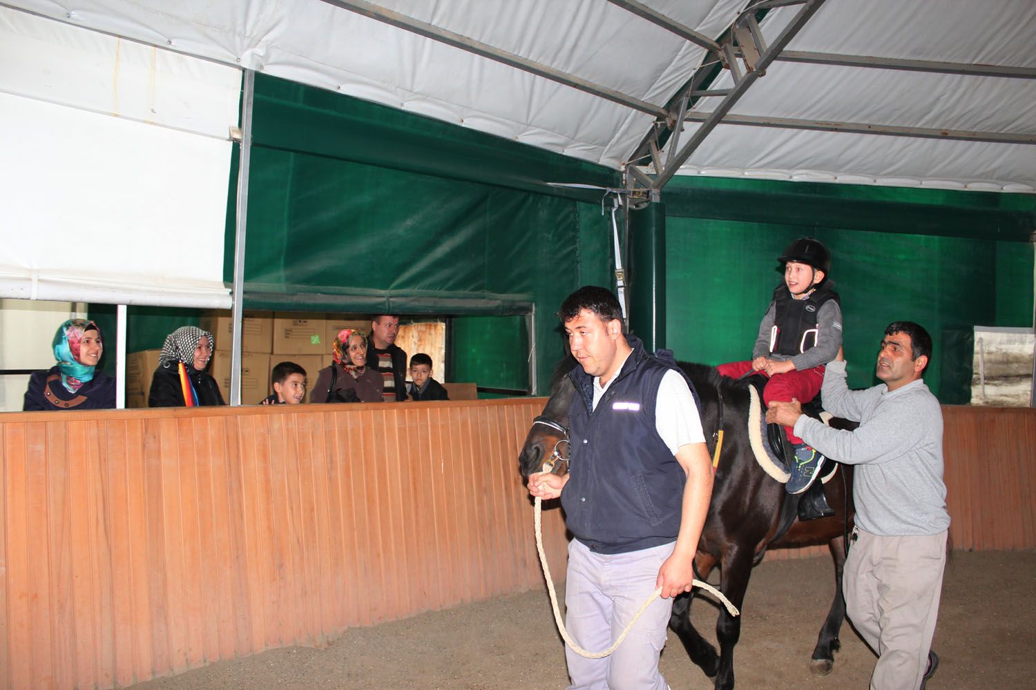 At Biniş Eğitimleri (2016) - 89