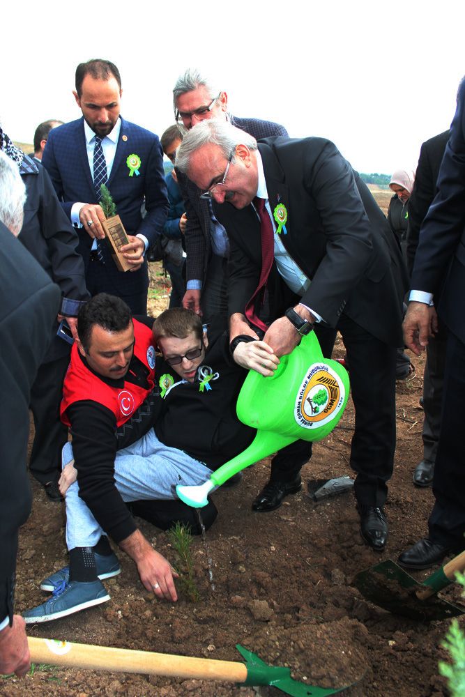 Mehmetçik Vakfı Hatıra Ormanı, Fidan Dikim Etkinliği (2016) - 37