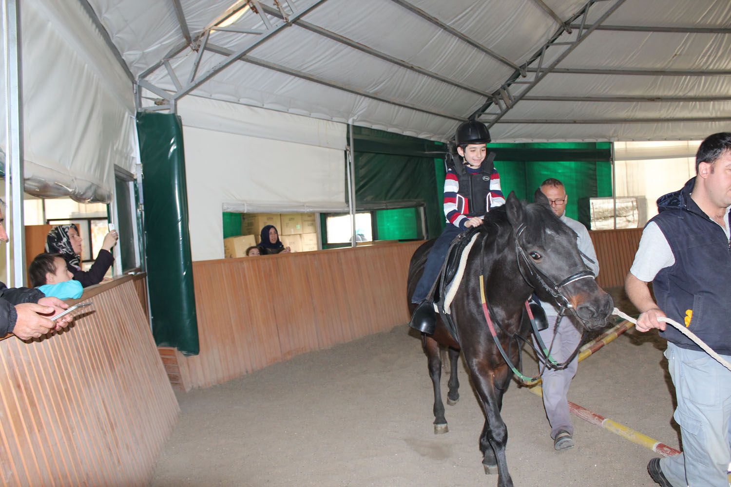 At Biniş Eğitimleri (2016) - 158