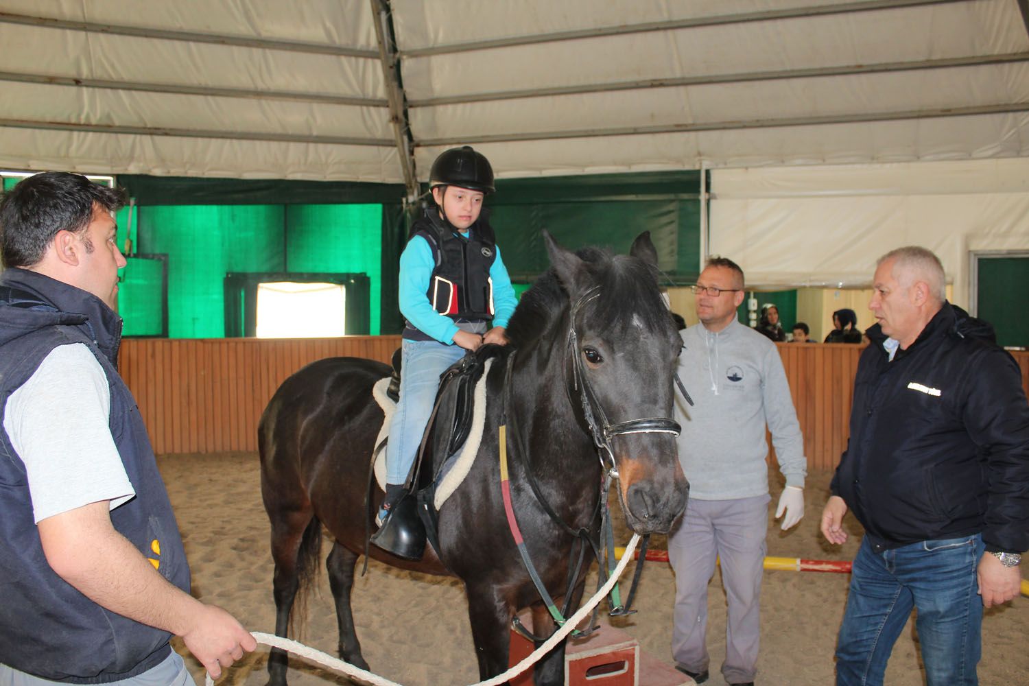 At Biniş Eğitimleri (2016) - 161