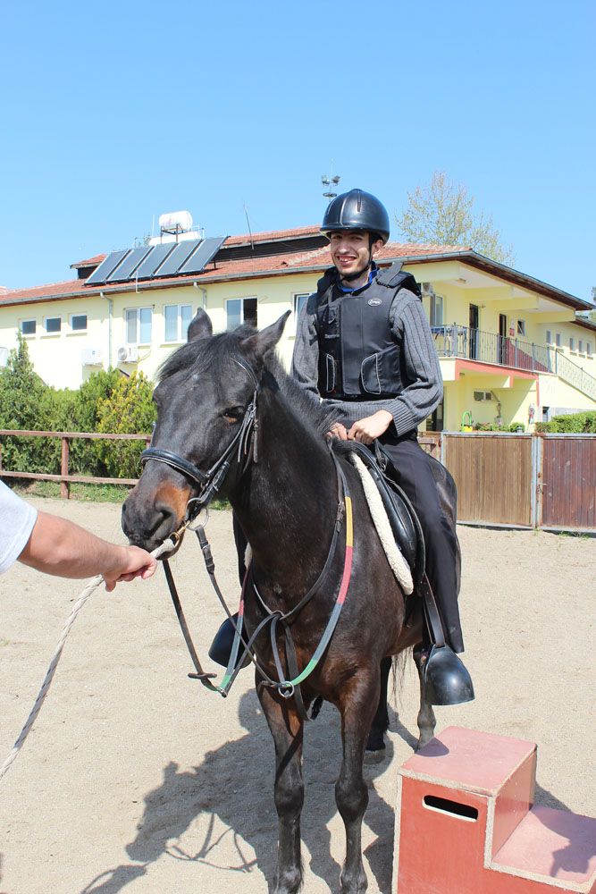 At Biniş Eğitimleri (2016) - 195