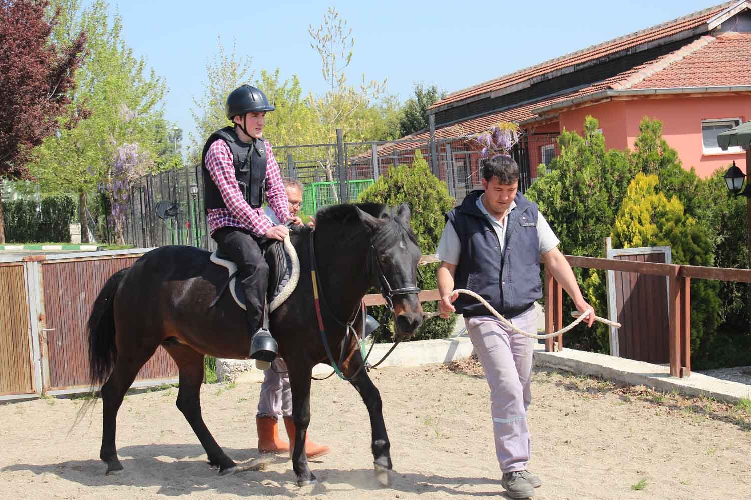 At Biniş Eğitimleri (2016) - 202