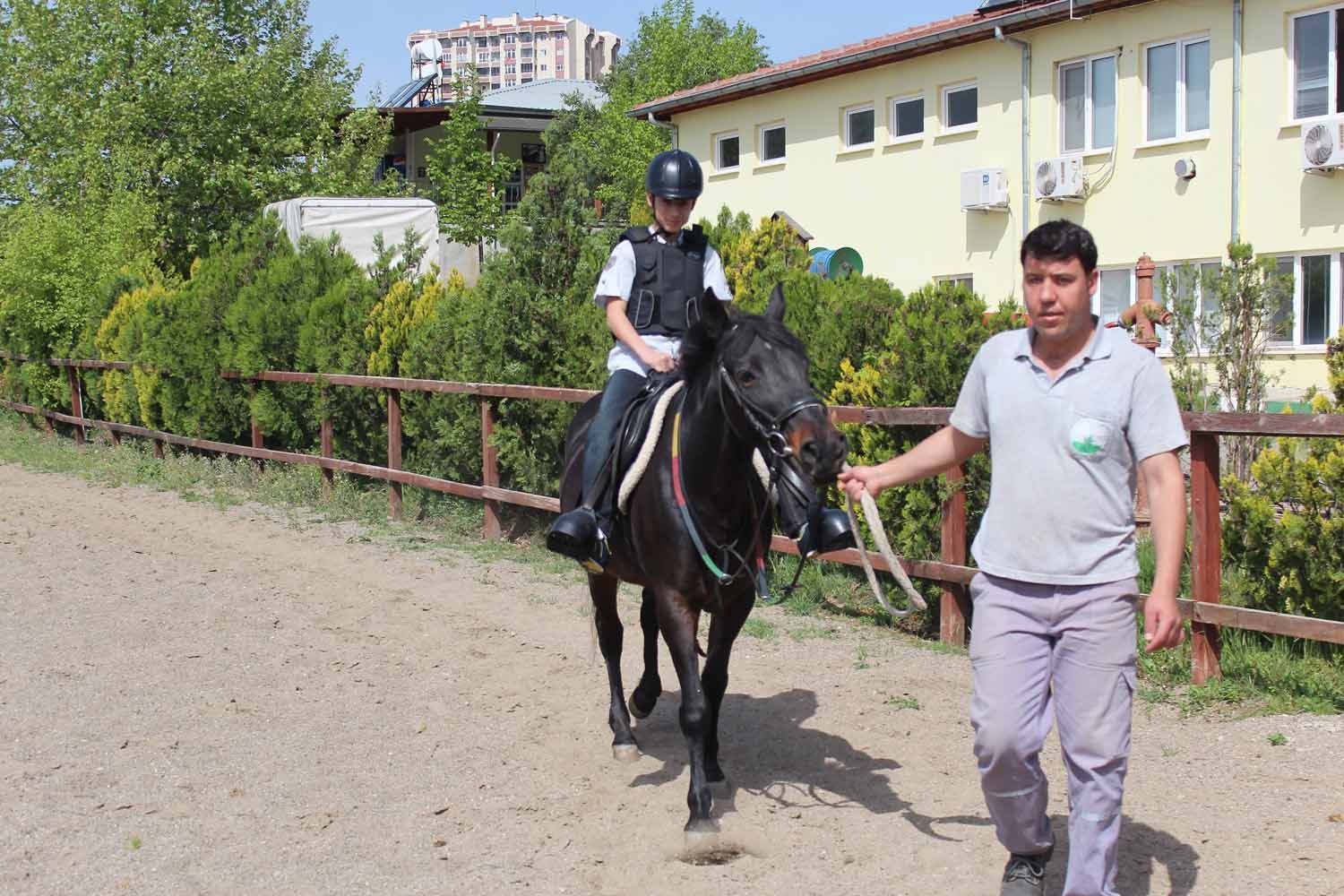 At Biniş Eğitimleri (2016) - 218