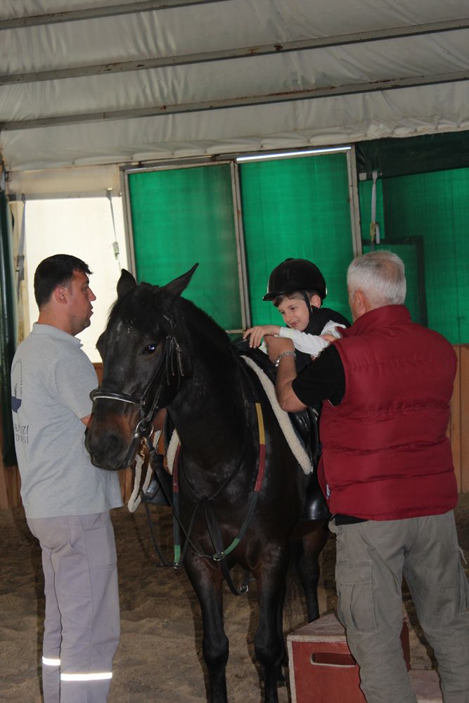 At Biniş Eğitimleri (2016) - 235