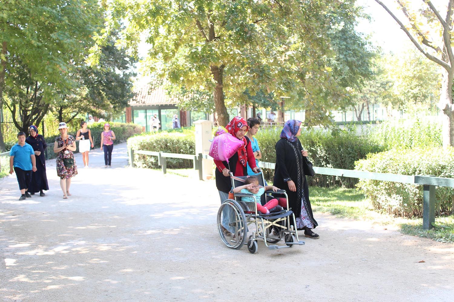 Hayvanat Bahçesi Gezisi (2015) - 9
