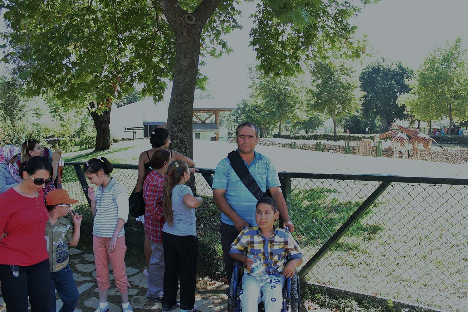 Hayvanat Bahçesi Gezisi (2015) - 14