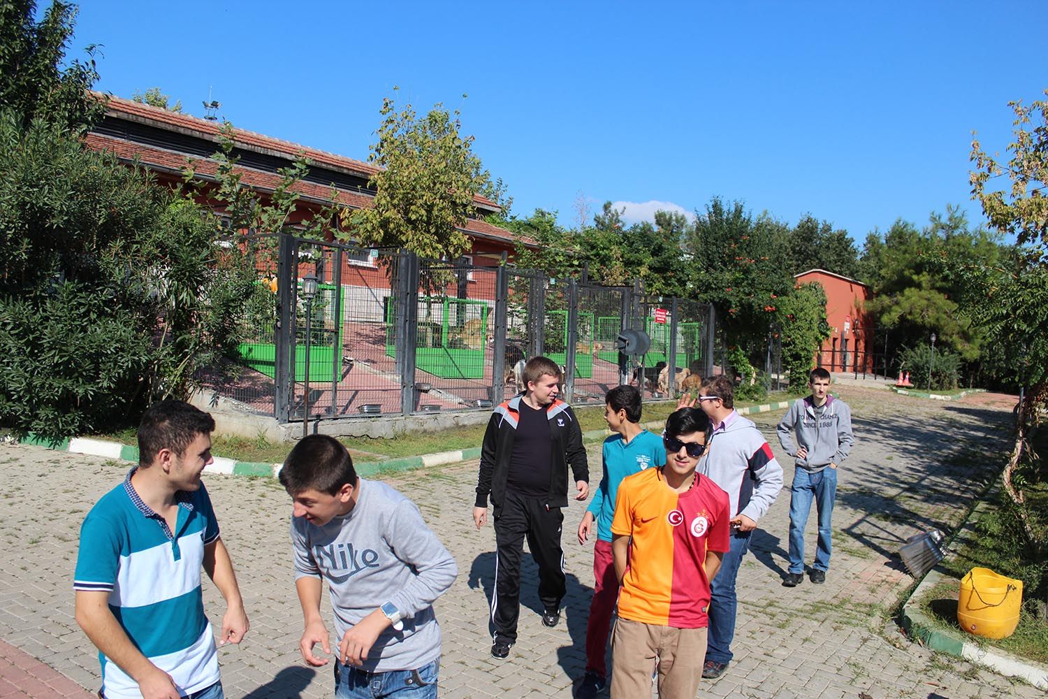 Hayvan Hakları Günü, Barınak Ziyareti (2015) - 16