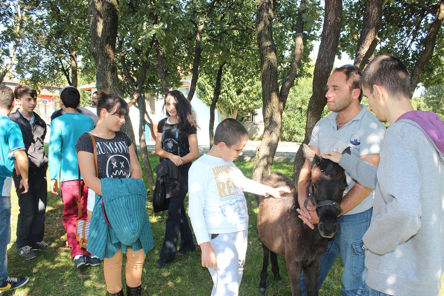 Hayvan Hakları Günü, Barınak Ziyareti (2015) - 24